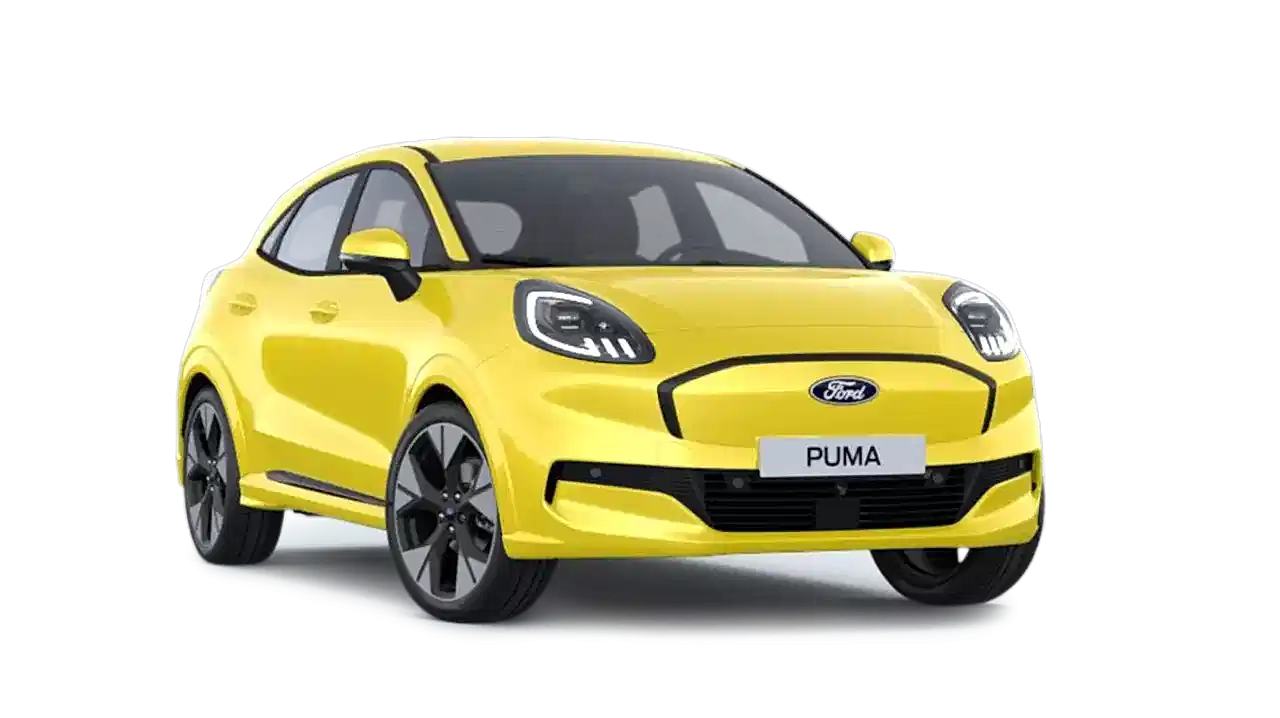 Puma-Geb-E-.png